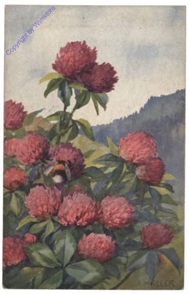 Blumen mit einer Hummel