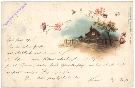 Blumen beim Haus