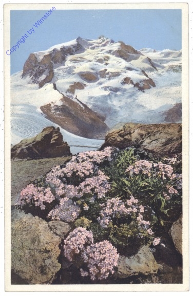 Gletscher Mannsschild