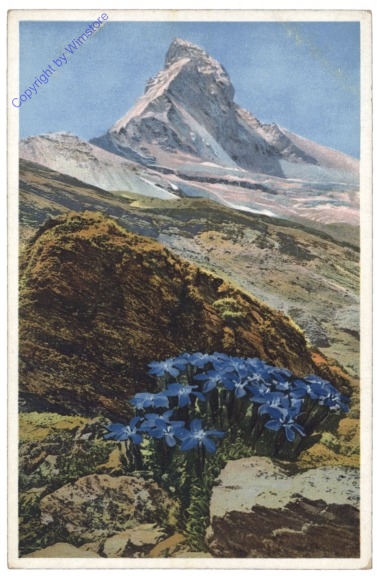 ak124969 Bayrischer Enzian