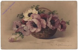 ak124992 Anemonen im Korb