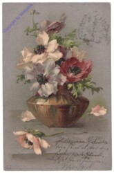 ak124994 Anemonen in einer Vase