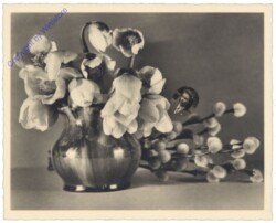 Christrosen in Vase