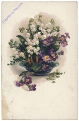Frühlingsblumen in einer Schale