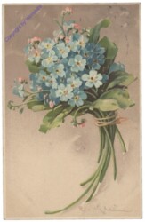 Vergissmeinnicht Strauß