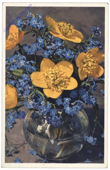 Sumpfdotterblume und Alpenvergissmeinnicht
