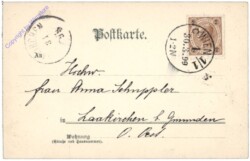 Margeriten