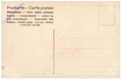 ak125026a Mohnblumen