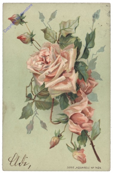 Rose (rosa)