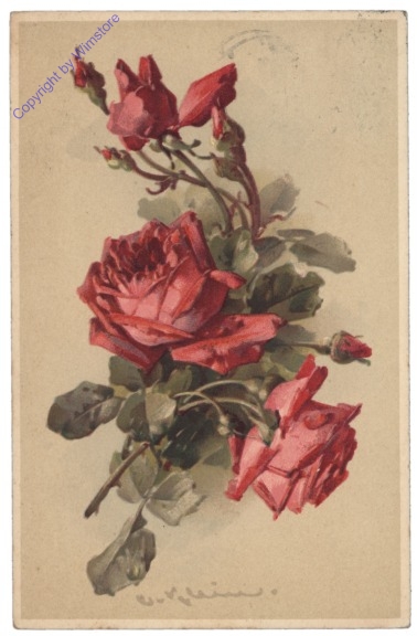 Rose (rot)