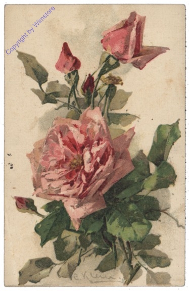 Rose (rot)