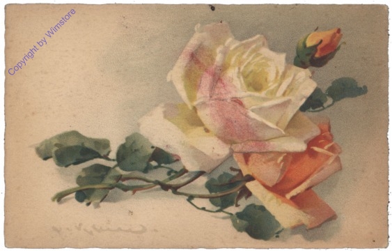 Rose (gelb)