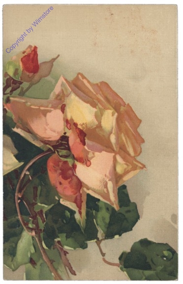 Rose (gelb)