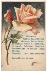 Rose (lachs)