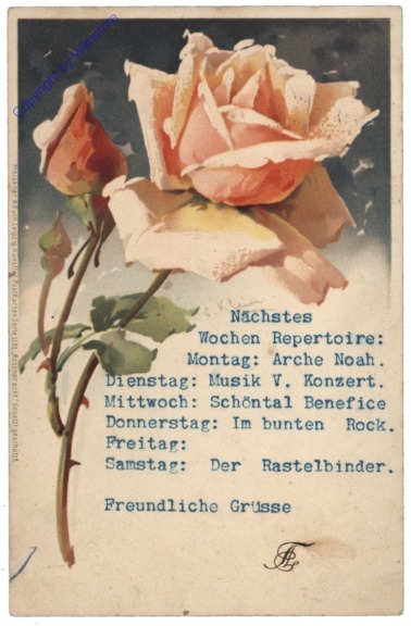 Rose (lachs)