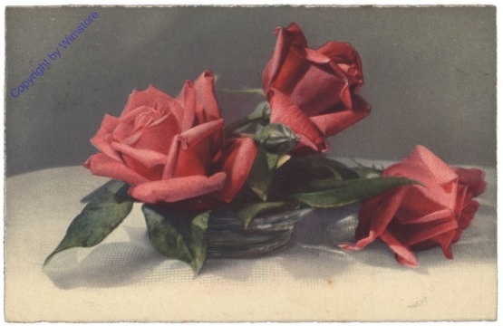 Rosen (rot)