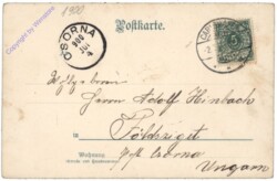 Stiefmütterchen