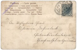 Stiefmütterchen in Vase