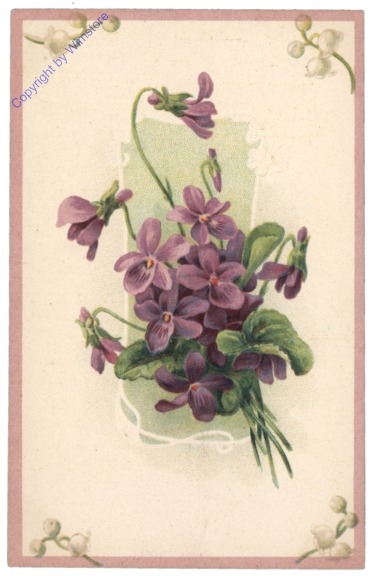 Stiefmütterchen (violett)