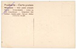 Stiefmütterchen (violett)