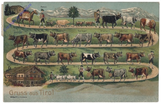 Gruss aus Tirol