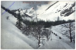 Hall, Rodelbahn im Halltal