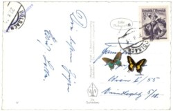 Innsbruck, Iselbergstraße gegen Lienz