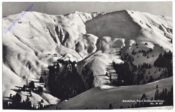 Kitzbühel, Griesalmhänge