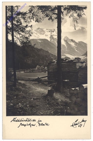 Mayrhofen, Walddurchblick