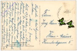 Scheffau, Hintersteinersee mit Kaisergebirge