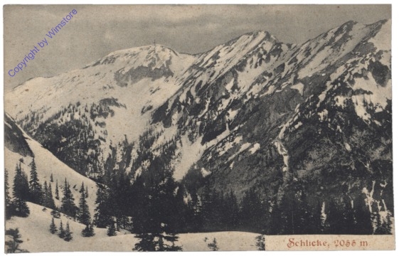 Tannheim, Schlicke