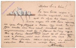 Postkarte aus 1911; Reliefkarte Mäuse