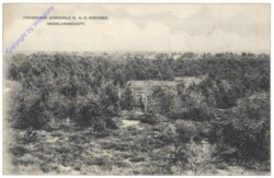 Nordholz, Ferienheim, Heidelandschaft
