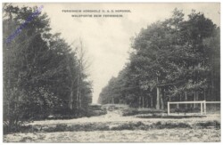 Nordholz, Ferienheim, Waldpartie beim Ferienheim