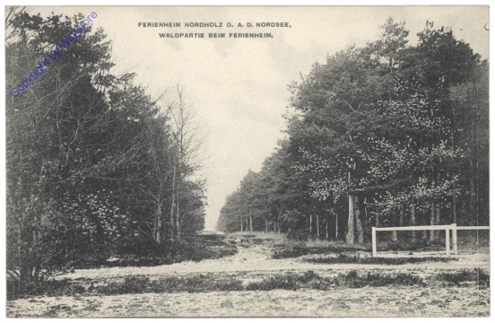 Nordholz, Ferienheim, Waldpartie beim Ferienheim