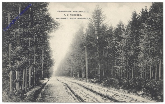 Nordholz, Ferienheim, Waldweg nach Nordholz