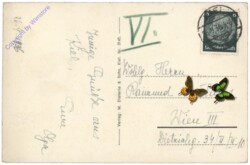 Kiel, Kieler Förde, Regatta der 6m Rennboote