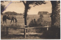 Insel Föhr, Dorfpartie auf Föhr