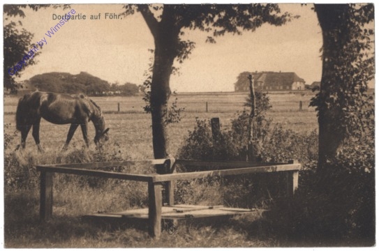 Insel Föhr, Dorfpartie auf Föhr