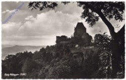 Nideggen, Burg