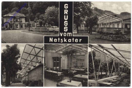 Harztor, Gruss vom Netzkater