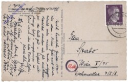 Saalfeld, Hotel Anker - Güldene Gans, Altdeutsche Diele