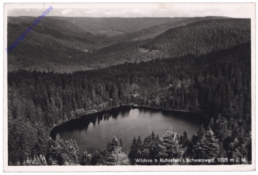 Baiersbronn, Wildsee b. Ruhestein