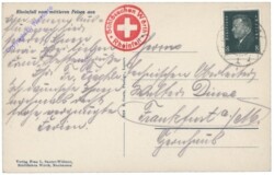 Feldberg, Rheinfall vom mittleren Felsen aus