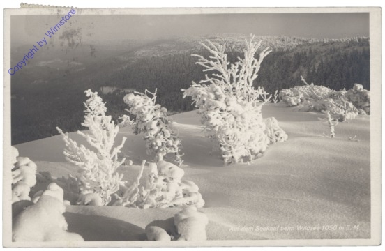 Forbach, Auf dem Seekopf beim Wildsee