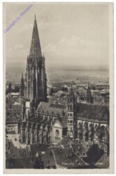 Freiburg, Das Münster