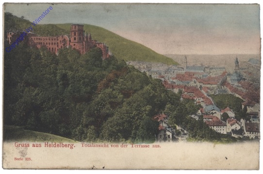 Heidelberg, Totalansicht von der Terrasse aus