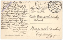 Langenau, Ortsansicht