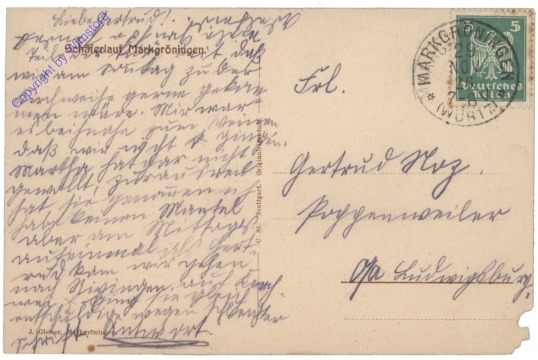 Markgröningen, Schäferlauf