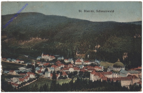 ak126858 St. Blasien, Ortsansicht